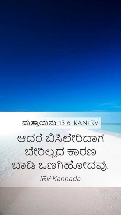 ಮತ್ತಾಯನು 13:6 KANIRV Bible Verse Image