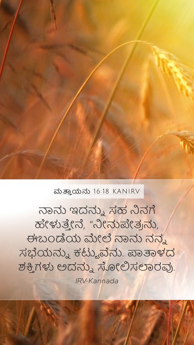 ಮತ್ತಾಯನು 16:18 KANIRV Bible Verse Image