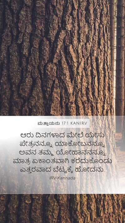 ಮತ್ತಾಯನು 17:1 KANIRV Mobile Phone Wallpaper - ಆರು ದಿನಗಳಾದ ಮೇಲೆ - Mobile Bible Verse Wallpaper