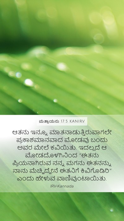 ಮತ್ತಾಯನು 17:5 KANIRV Bible Verse Image