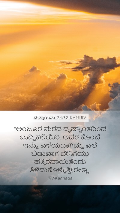 ಮತ್ತಾಯನು 24:32 KANIRV Bible Verse Image