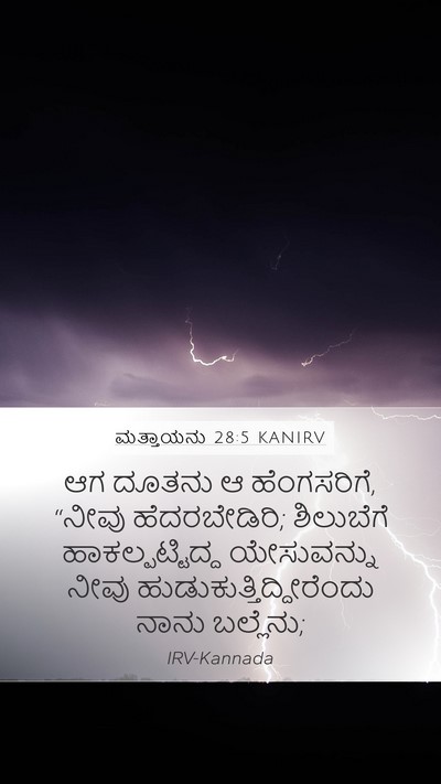 ಮತ್ತಾಯನು 28:5 KANIRV Bible Verse Image
