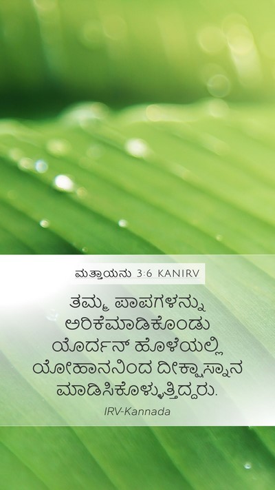 ಮತ್ತಾಯನು 3:6 KANIRV Bible Verse Image