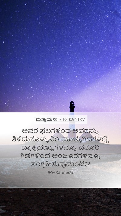 ಮತ್ತಾಯನು 7:16 KANIRV Bible Verse Image
