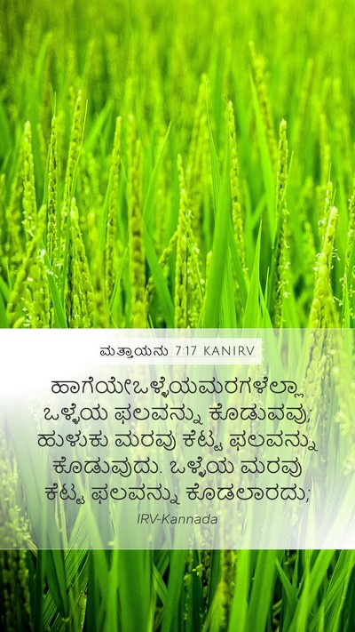 ಮತ್ತಾಯನು 7:17 KANIRV Mobile Phone Wallpaper -  - Mobile Bible Verse Wallpaper