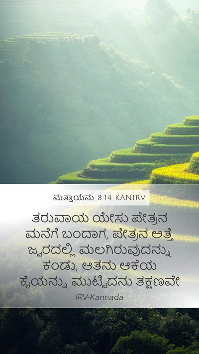 ಮತ್ತಾಯನು 8:14 KANIRV Bible Verse Image