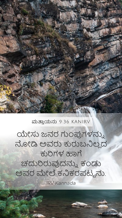 ಮತ್ತಾಯನು 9:36 KANIRV Bible Verse Image
