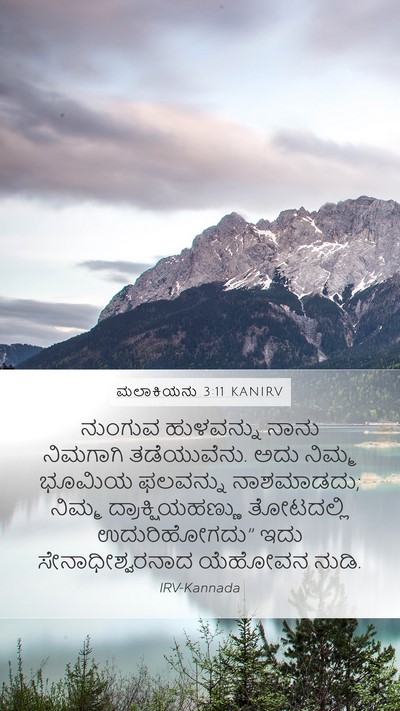 ಮಲಾಕಿಯನು 3:11 KANIRV Mobile Phone Wallpaper - ನುಂಗುವ ಹುಳವನ್ನು - Mobile Bible Verse Wallpaper