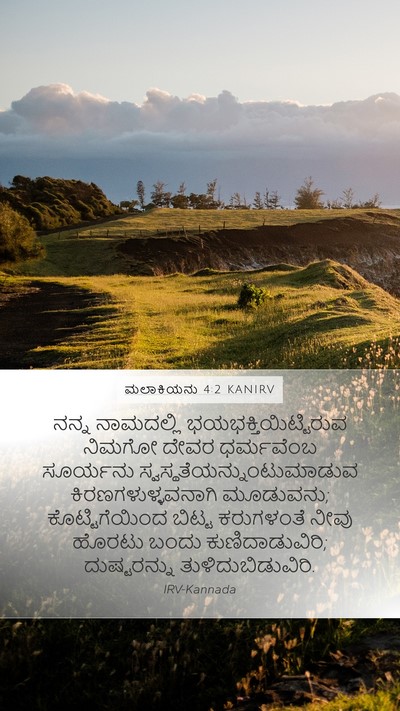 ಮಲಾಕಿಯನು 4:2 KANIRV Bible Verse Image