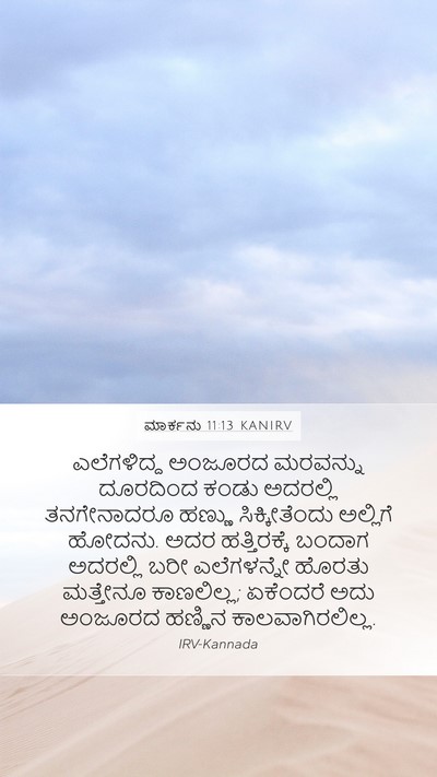 ಮಾರ್ಕನು 11:13 KANIRV Mobile Phone Wallpaper - ಎಲೆಗಳಿದ್ದ ಅಂಜೂರದ - Mobile Bible Verse Wallpaper