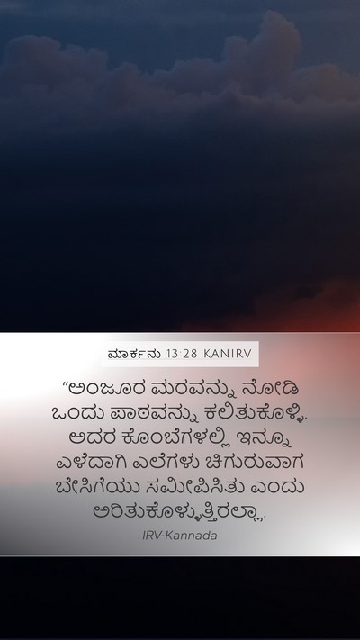 ಮಾರ್ಕನು 13:28 KANIRV Bible Verse Image