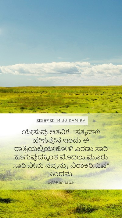 ಮಾರ್ಕನು 14:30 KANIRV Bible Verse Image