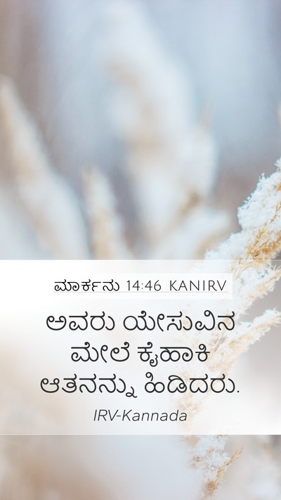 ಮಾರ್ಕನು 14:46 KANIRV Mobile Phone Wallpaper - ಅವರು ಯೇಸುವಿನ ಮೇಲೆ - Mobile Bible Verse Wallpaper