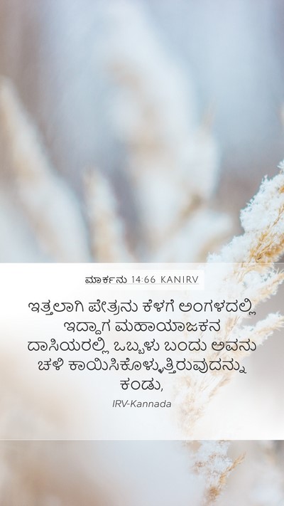 ಮಾರ್ಕನು 14:66 KANIRV Bible Verse Image