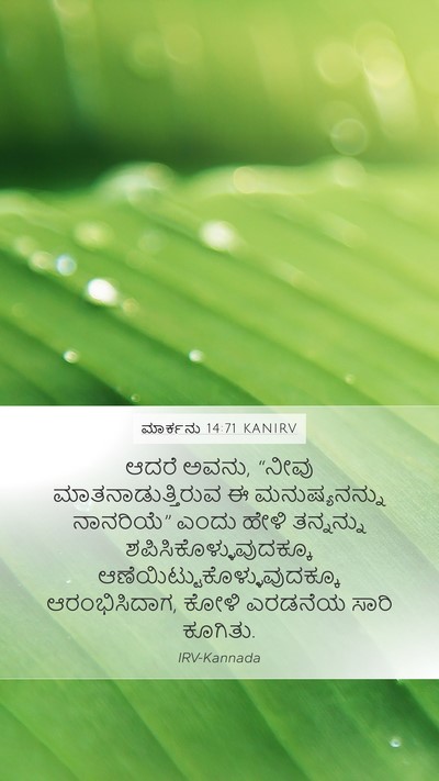 ಮಾರ್ಕನು 14:71 KANIRV Mobile Phone Wallpaper - ಆದರೆ ಅವನು, “ನೀವು - Mobile Bible Verse Wallpaper