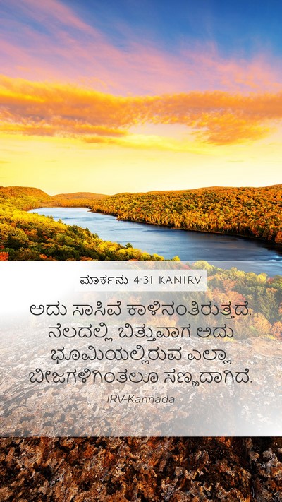 ಮಾರ್ಕನು 4:31 KANIRV Bible Verse Image