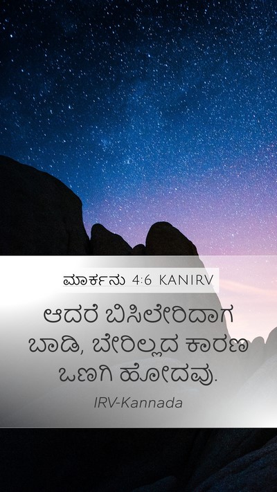 ಮಾರ್ಕನು 4:6 KANIRV Bible Verse Image