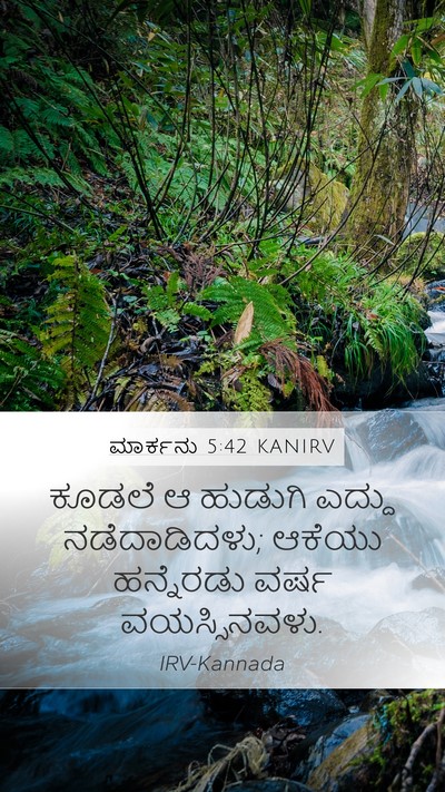 ಮಾರ್ಕನು 5:42 KANIRV Bible Verse Image