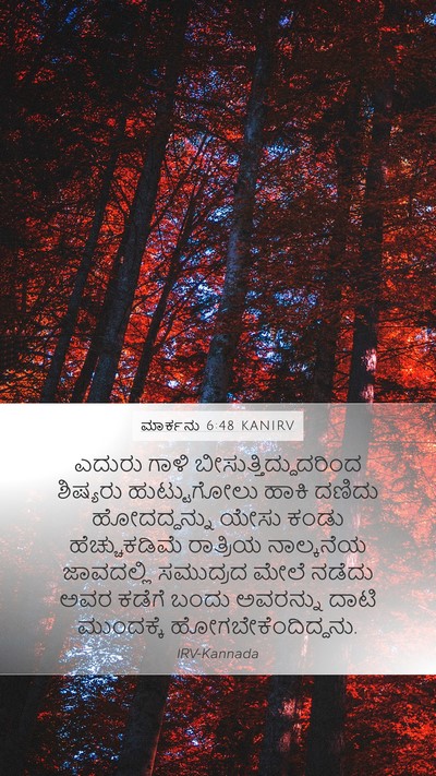 ಮಾರ್ಕನು 6:48 KANIRV Bible Verse Image