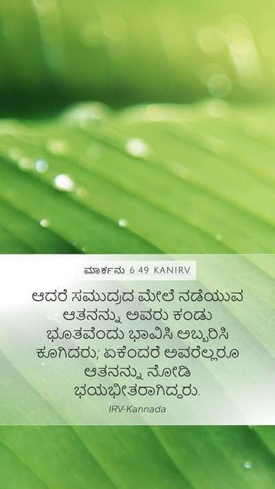 ಮಾರ್ಕನು 6:49 KANIRV Bible Verse Image