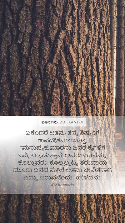 ಮಾರ್ಕನು 9:31 KANIRV Bible Verse Image