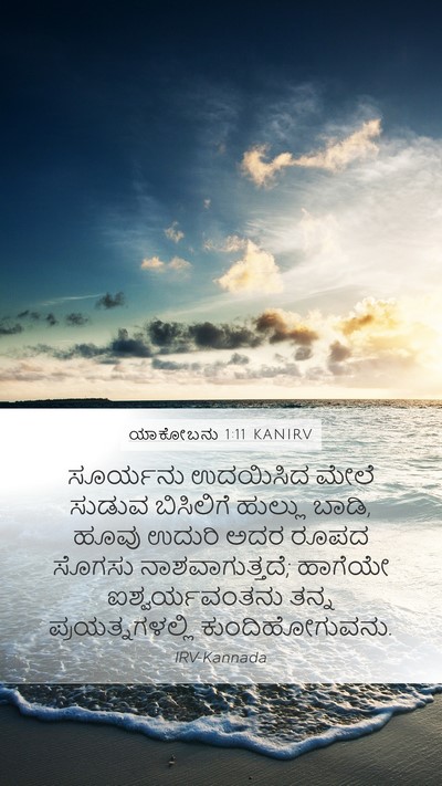ಯಾಕೋಬನು 1:11 KANIRV Mobile Phone Wallpaper - ಸೂರ್ಯನು ಉದಯಿಸಿದ - Mobile Bible Verse Wallpaper