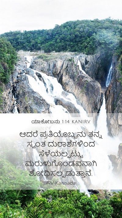 ಯಾಕೋಬನು 1:14 KANIRV Bible Verse Image