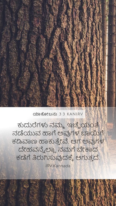 ಯಾಕೋಬನು 3:3 KANIRV Mobile Phone Wallpaper - ಕುದುರೆಗಳು ನಮ್ಮ - Mobile Bible Verse Wallpaper
