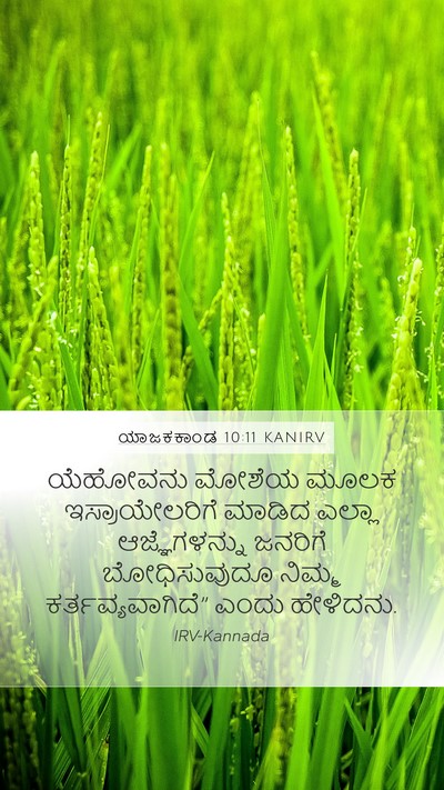 ಯಾಜಕಕಾಂಡ 10:11 KANIRV Bible Verse Image