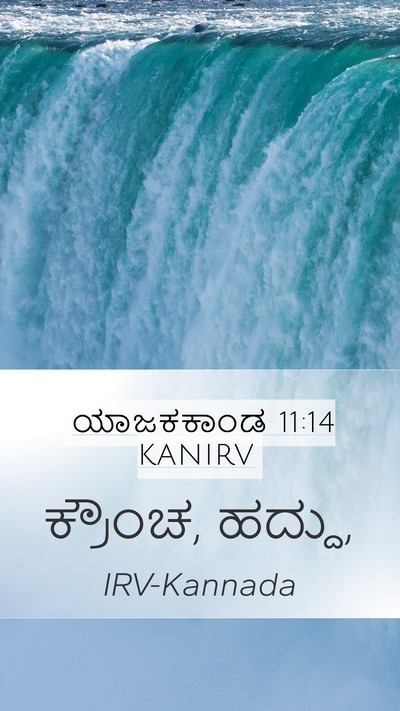 ಯಾಜಕಕಾಂಡ 11:14 KANIRV Mobile Phone Wallpaper - ಕ್ರೌಂಚ, - Mobile Bible Verse Wallpaper
