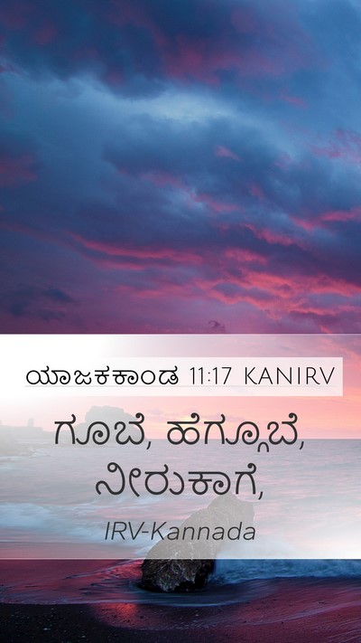 ಯಾಜಕಕಾಂಡ 11:17 KANIRV Mobile Phone Wallpaper - ಗೂಬೆ, ಹೆಗ್ಗೂಬೆ, - Mobile Bible Verse Wallpaper