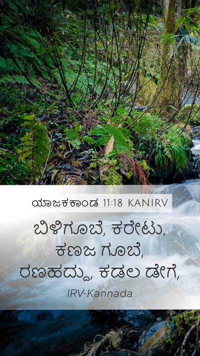 ಯಾಜಕಕಾಂಡ 11:18 KANIRV Mobile Phone Wallpaper - ಬಿಳಿಗೂಬೆ, ಕರೇಟು, - Mobile Bible Verse Wallpaper