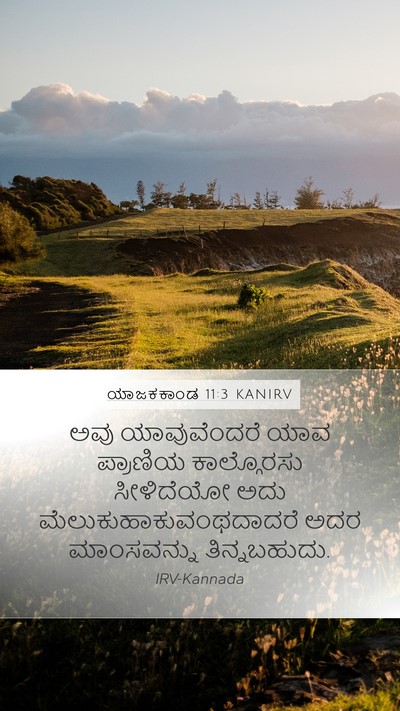 ಯಾಜಕಕಾಂಡ 11:3 KANIRV Mobile Phone Wallpaper - ಅವು ಯಾವುವೆಂದರೆ - Mobile Bible Verse Wallpaper