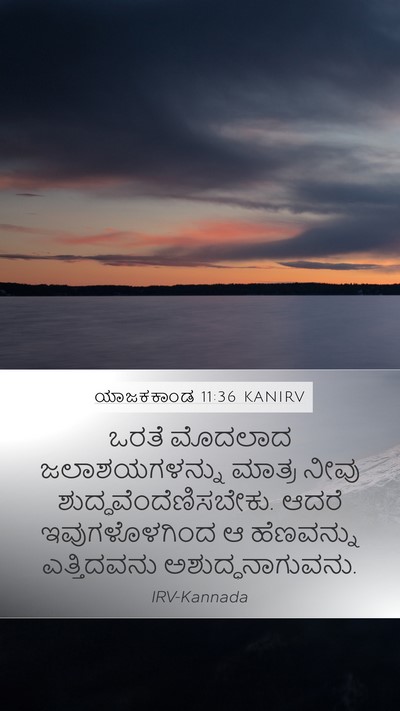 ಯಾಜಕಕಾಂಡ 11:36 KANIRV Mobile Phone Wallpaper - ಒರತೆ ಮೊದಲಾದ - Mobile Bible Verse Wallpaper