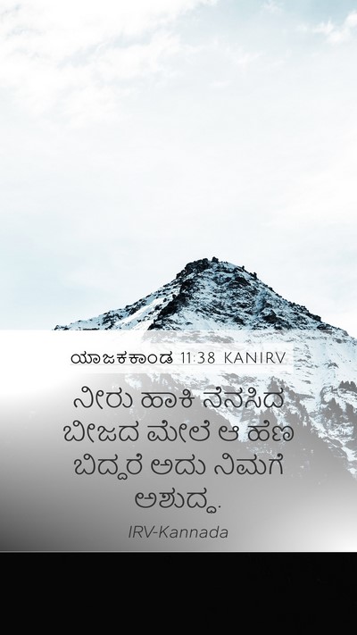 ಯಾಜಕಕಾಂಡ 11:38 KANIRV Bible Verse Image