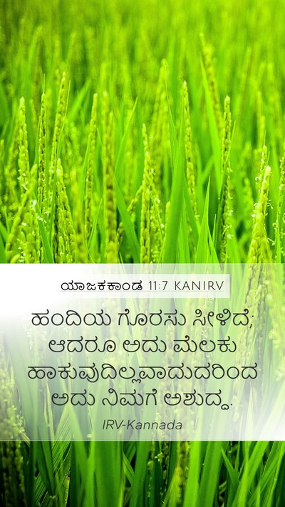 ಯಾಜಕಕಾಂಡ 11:7 KANIRV Bible Verse Image