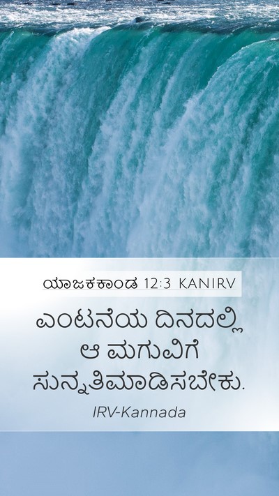 ಯಾಜಕಕಾಂಡ 12:3 KANIRV Bible Verse Image