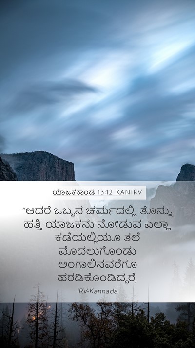 ಯಾಜಕಕಾಂಡ 13:12 KANIRV Mobile Phone Wallpaper - “ಆದರೆ ಒಬ್ಬನ - Mobile Bible Verse Wallpaper
