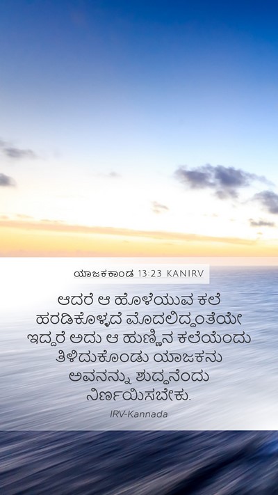 ಯಾಜಕಕಾಂಡ 13:23 KANIRV Bible Verse Image