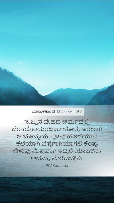 ಯಾಜಕಕಾಂಡ 13:24 KANIRV Bible Verse Image