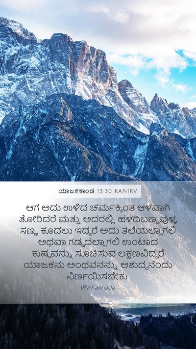 ಯಾಜಕಕಾಂಡ 13:30 KANIRV Bible Verse Image