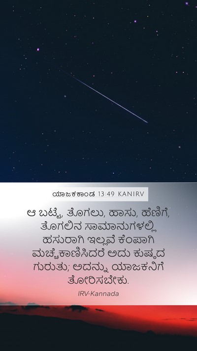 ಯಾಜಕಕಾಂಡ 13:49 KANIRV Mobile Phone Wallpaper - ಆ ಬಟ್ಟೆ, ತೊಗಲು, - Mobile Bible Verse Wallpaper