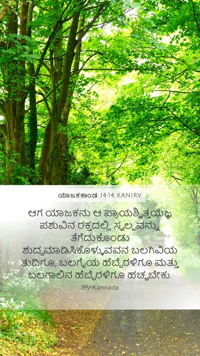 ಯಾಜಕಕಾಂಡ 14:14 KANIRV Bible Verse Image