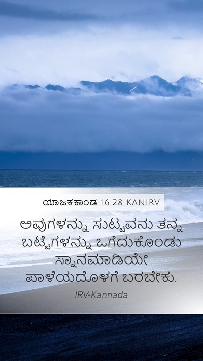 ಯಾಜಕಕಾಂಡ 16:28 KANIRV Bible Verse Image