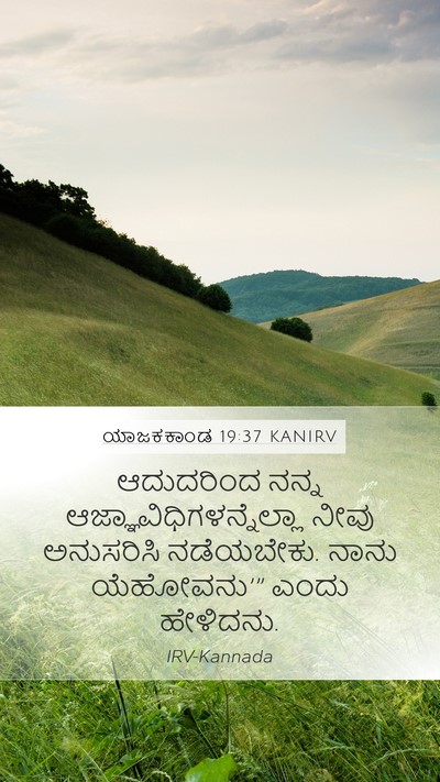 ಯಾಜಕಕಾಂಡ 19:37 KANIRV Bible Verse Image
