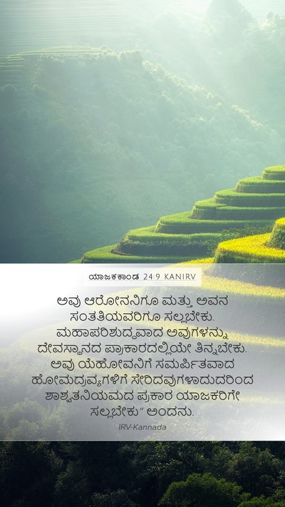 ಯಾಜಕಕಾಂಡ 24:9 KANIRV Bible Verse Image