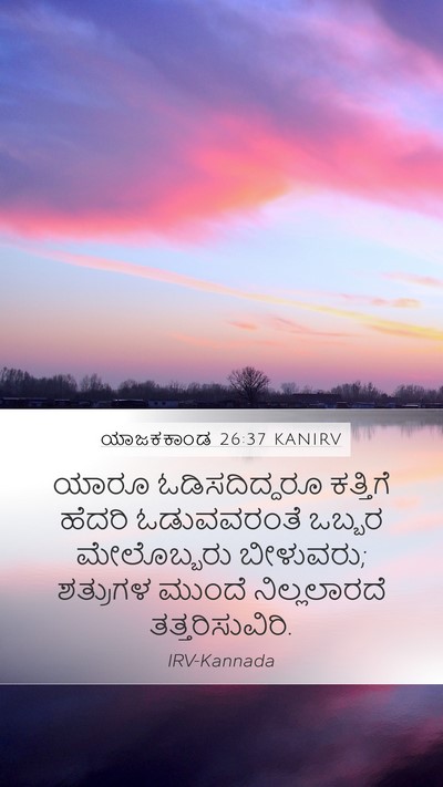 ಯಾಜಕಕಾಂಡ 26:37 KANIRV Bible Verse Image