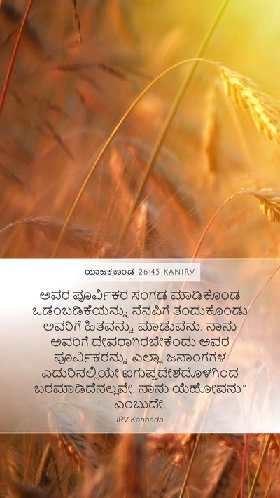 ಯಾಜಕಕಾಂಡ 26:45 KANIRV Bible Verse Image