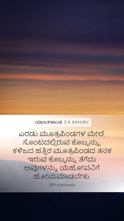 ಯಾಜಕಕಾಂಡ 3:4 KANIRV Mobile Phone Wallpaper - ಎರಡು ಮೂತ್ರಪಿಂಡಗಳ - Mobile Bible Verse Wallpaper