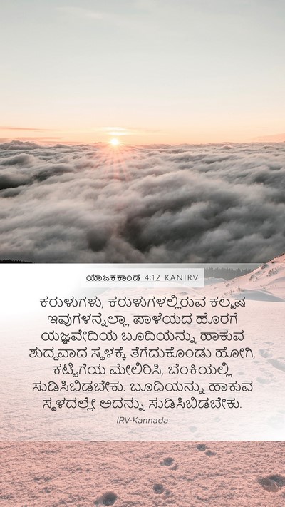 ಯಾಜಕಕಾಂಡ 4:12 KANIRV Bible Verse Image